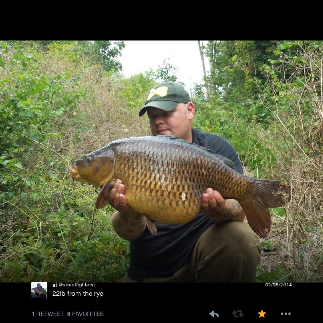 carpmansi's profile picture. 