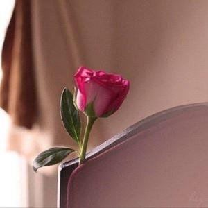 Fatma104a's profile picture. فَتَـاة بِالْعَـفْـاف تَجَـمَّـلَت