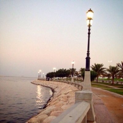 yasser141022's profile picture. 