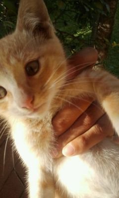 Amelia_Estefany's profile picture. Coldplayer