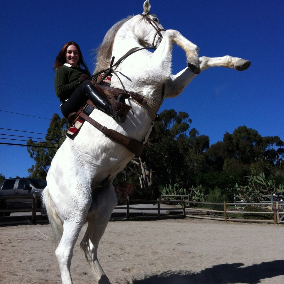 Professional Stuntwoman with a passion for Filmmaking, Horses, Snowboarding, Traveling & the Great Outdoors. Member of @SWAMPStuntwomen