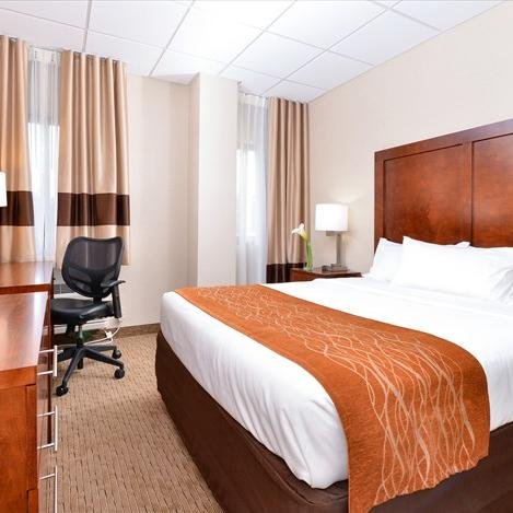 Comfort_InnSyo's profile picture. Newly re-branded and renovated hotel in the heart of Syosset, NY. Featuring 82 guest rooms, hot breakfast, 24 hour Fitness center and Business Center.