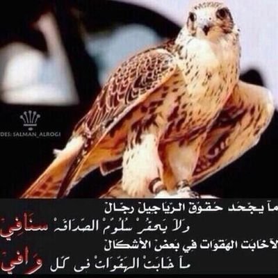 xsultan400's profile picture. خليك في قسوتك ومع الصبر خليني أن كان هجرك يرضيك انا اللي يرضيك يرضيني