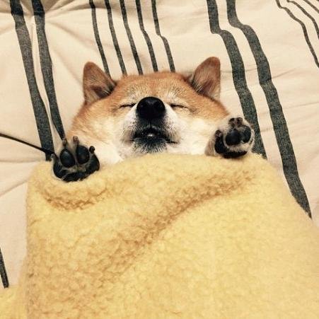 murder_weap0n's profile picture. Follow me on instagram - justmiu   ♥♥♥