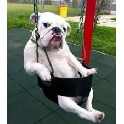 World's funny and trendy news every day! If you want to see more, please check out also my website.