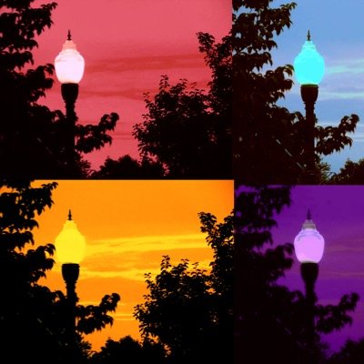 photo_lamarche's profile picture. Like LaMarche Photography on Facebook. LaMarche Photography is a member of the Quabog Hills Chamber of Commerce. 4133014548 alexander@lamarchephotography.net