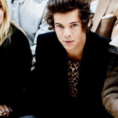 harry thinks you're hot