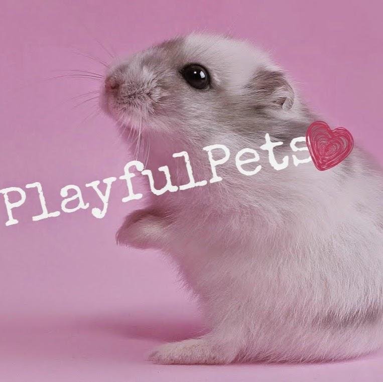 Hey guys! Im PlayfulPets. I have a YouTube channel of my own and i decided to try out Twitter. I actually like it. Please make sure to follow. I'll follow back.