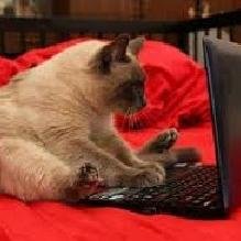 World's funny and trendy news every day! If you want to see more, please check out also my website.