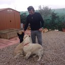 Jose Luis Lobo - @lobojl1 - Twitter