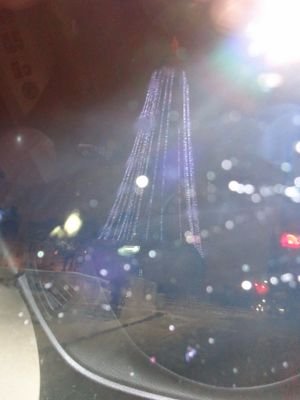 hope3979's profile picture. Tree of life garden ministries founder. non-profit organization