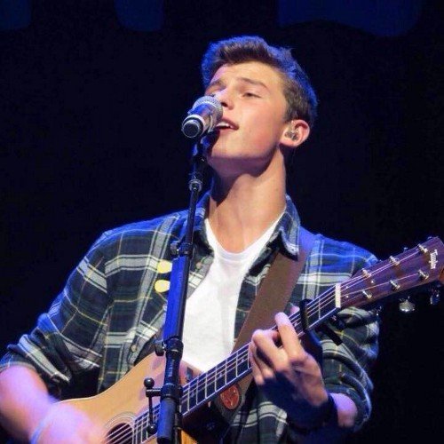 As much as we all deserve a Shawn follow I think you should follow my twitter account @omgitsmendes and i'll help y'all out when I get a follow. ♥