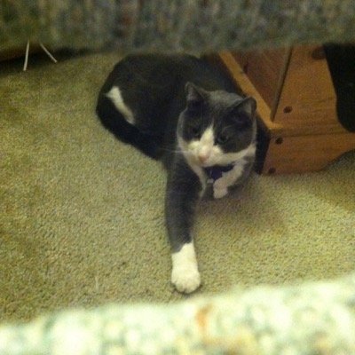 pathomas626's profile picture. RT does not necessarily endorse. May be used to inform or indicate it was read. Conservative. Pro-life. Messianic. with hospice.