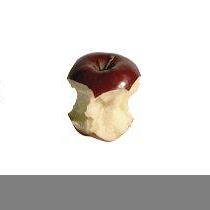 TransformingEd's profile picture. 