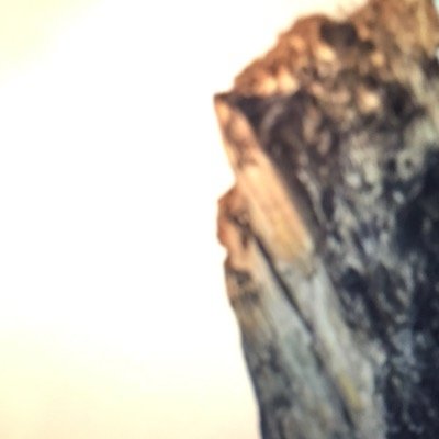 hottosmel's profile picture. 🖤🤍💙 NUR DER HSV 🖤🤍💙