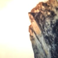 HoTTo- (@hottosmel) 's Twitter Profile Photo