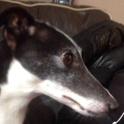 EUnkown's profile picture. #Betty for life