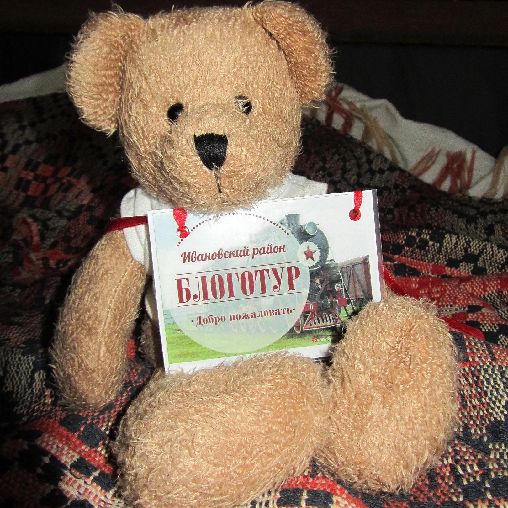 ymcamishka's profile picture. Медвежонок, меняющий жизнь \ Life change bear  |  Ну, подумаешь - медведь... Всё-таки, не хорёк! ©