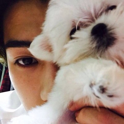 EXOの末っ子セフンですㅎㅈㅎ（ぺこっ）失望させないように頑張ります！最後まで一緒に行きましょう！！愛し合いましょう~！これからもEXOを愛してください！♥ SeHun bot / JPN only / EXO사랑하자