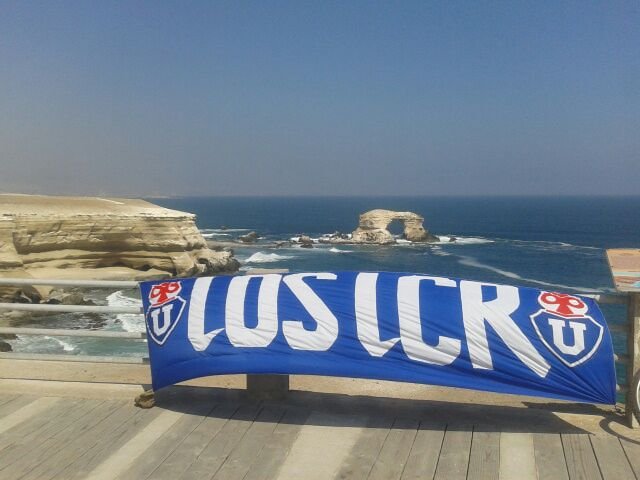 sarjesuleito's profile picture. 