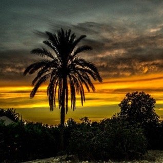 aljusi27's profile picture. 