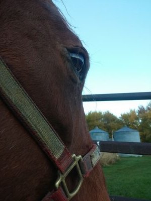 hannahlawson89's profile picture. Original one of a kind ME