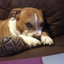 Michelle Stjohn - @shelly1979200 - Twitter