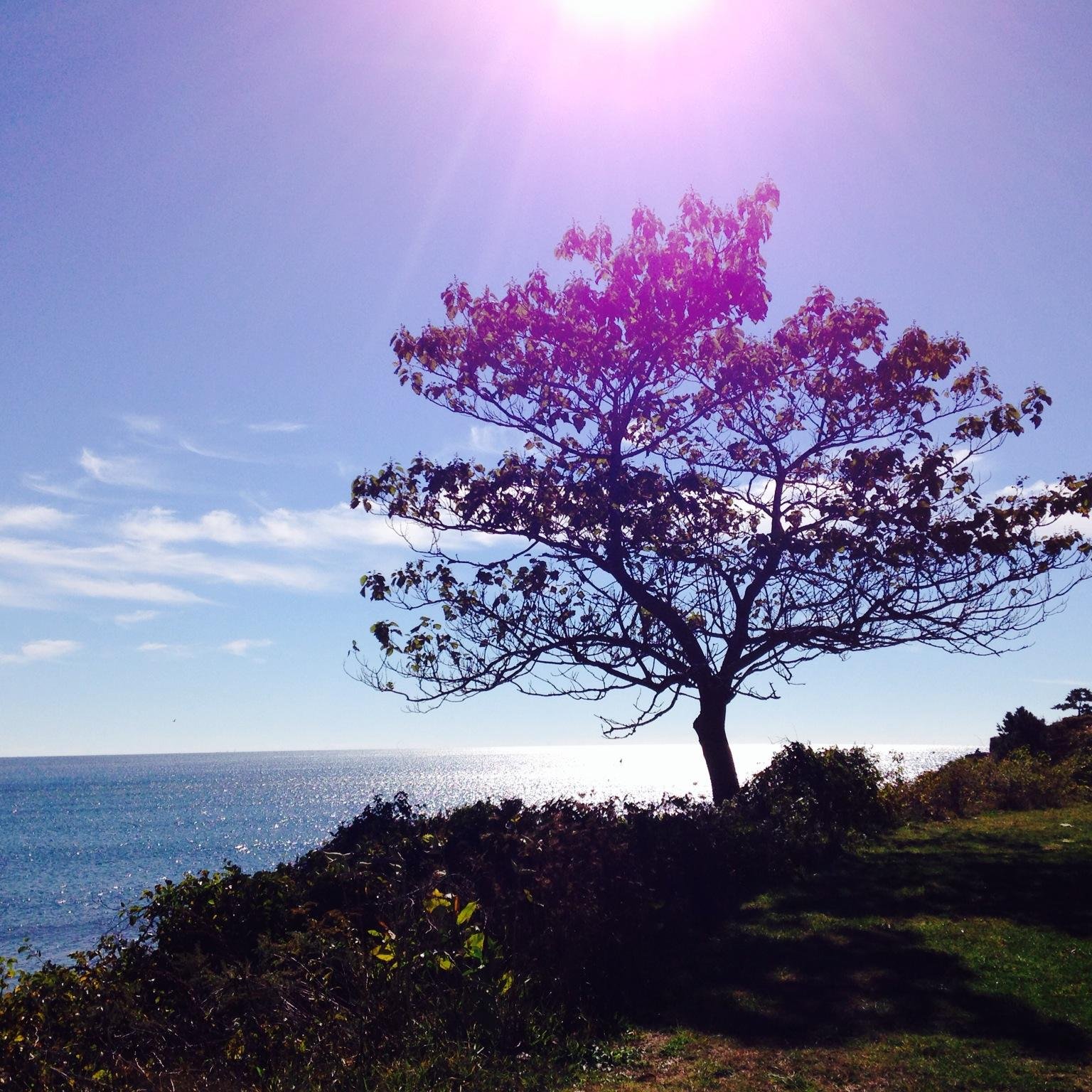 Inspired by life. Motivated by quotes.  Relaxed by Mother Nature. Hiker. Believer in the LOA. Amused by much.