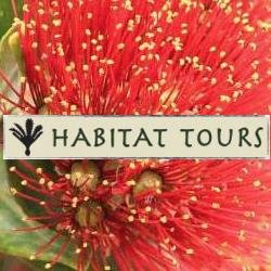 Our passion is the beauty of NZ's natural wonders and its flora and fauna, our small day eco tours from Auckland take you to see the wonders of Tawharanui