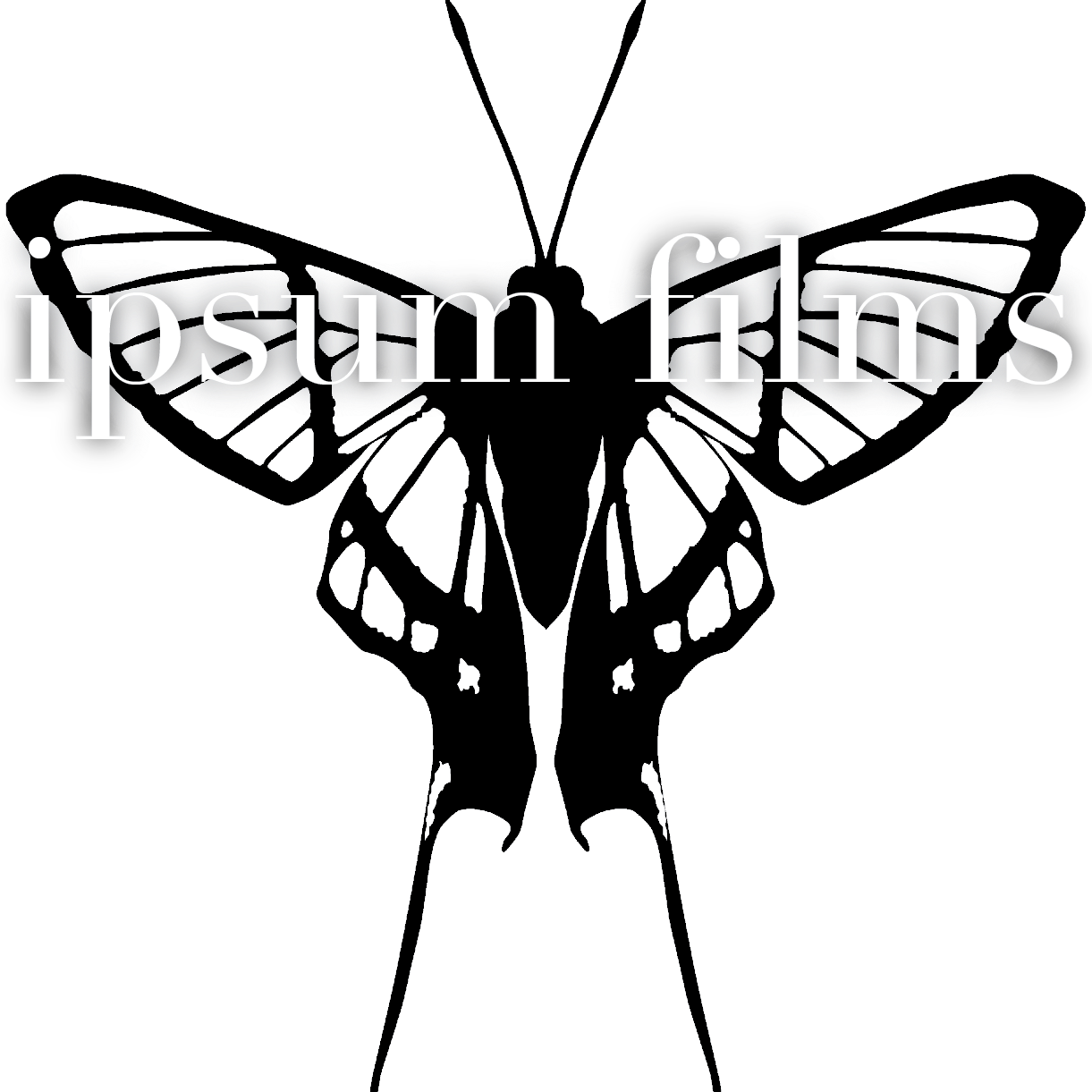 A Motion Picture Company info@ipsumfilms.com https://t.co/oeEJT3Fnxp #travelingcinematographer #SupportIndieFilm