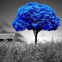 Flossie Hall - @mprimage - Twitter