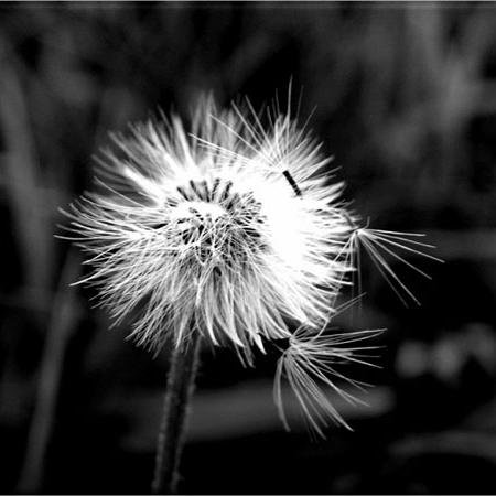 K3Yu9ucjAZoybo1's profile picture. beli domain dan hosting | jasa web hosting