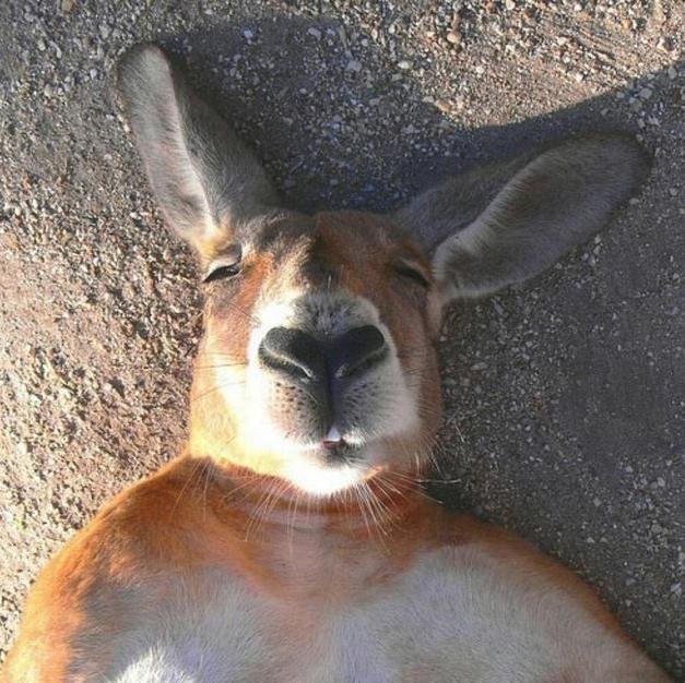 Hi! Do you like to read world's funny news everyday? Please visit my website too! Thank you.
