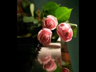 الخاص مهمل ★★