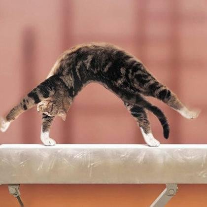 Hi! Do you like to read world's funny news everyday? Please visit my website too! Thank you.