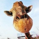 Thea Chen - @TheaaaaaaCH - Twitter