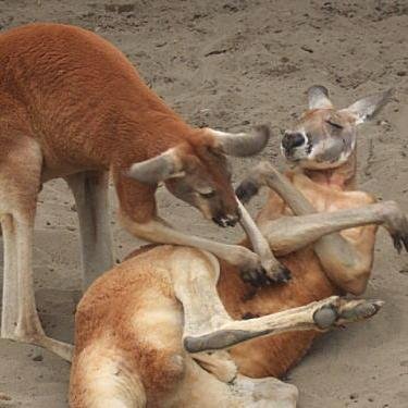 Hi! Do you like to read world's funny news everyday? Please visit my website too! Thank you.