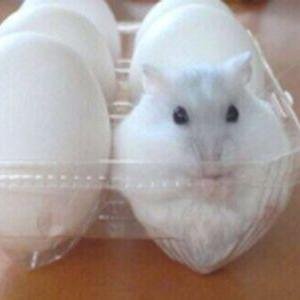 Hi! Do you like to read world's funny news everyday? Please visit my website too! Thank you.