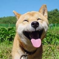 おもしろ話題速報していくよｗｗｗｗRTよろしくねｗｗｗｗ