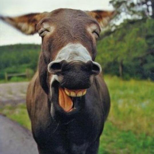 Hey there! Do you like to read world's funny news everyday? Please visit my website too! Thank you.