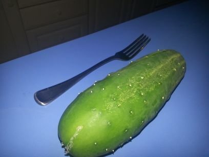 dniblish's profile picture. 