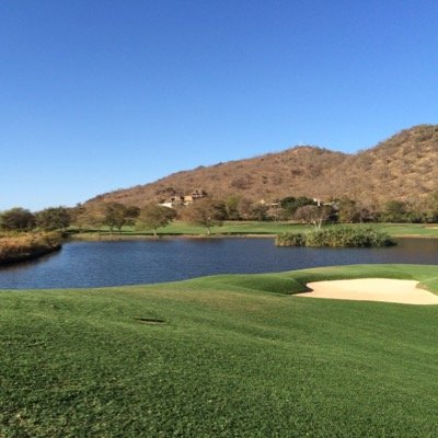 dievlamgat's profile picture. 