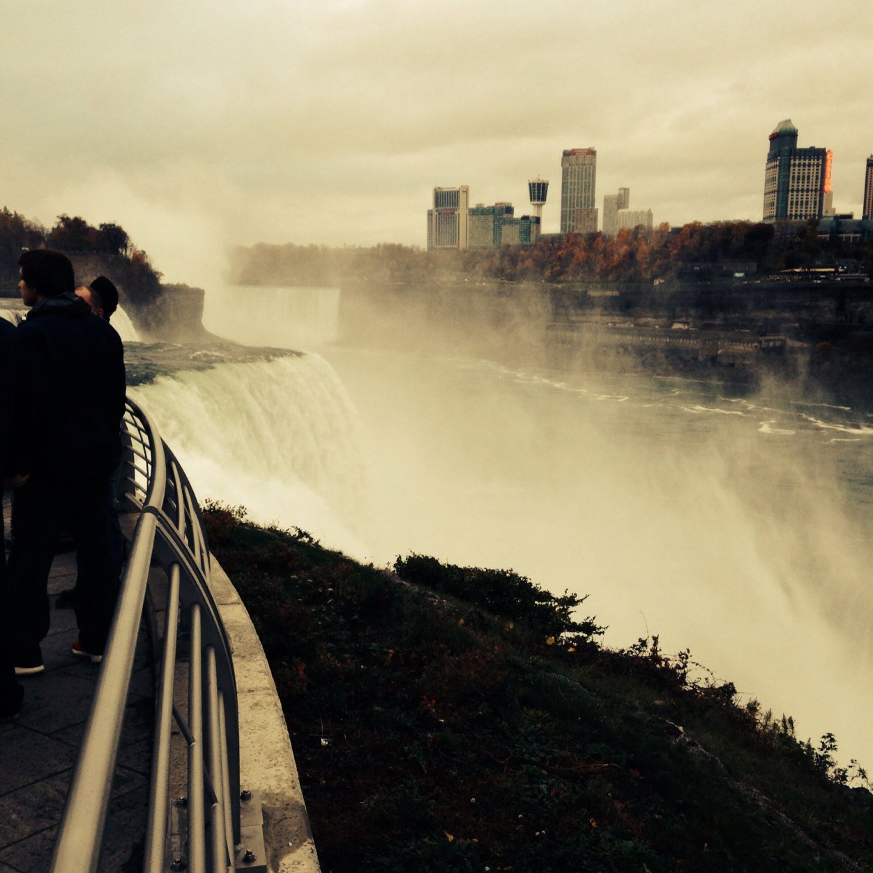 JodiBussing's profile picture. Live Laugh Love