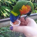 ginger beck - @gingersnapz94 - Twitter