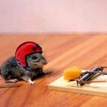 Hello! Do you like to read world's funny news everyday? Please visit my website too! Thank you.