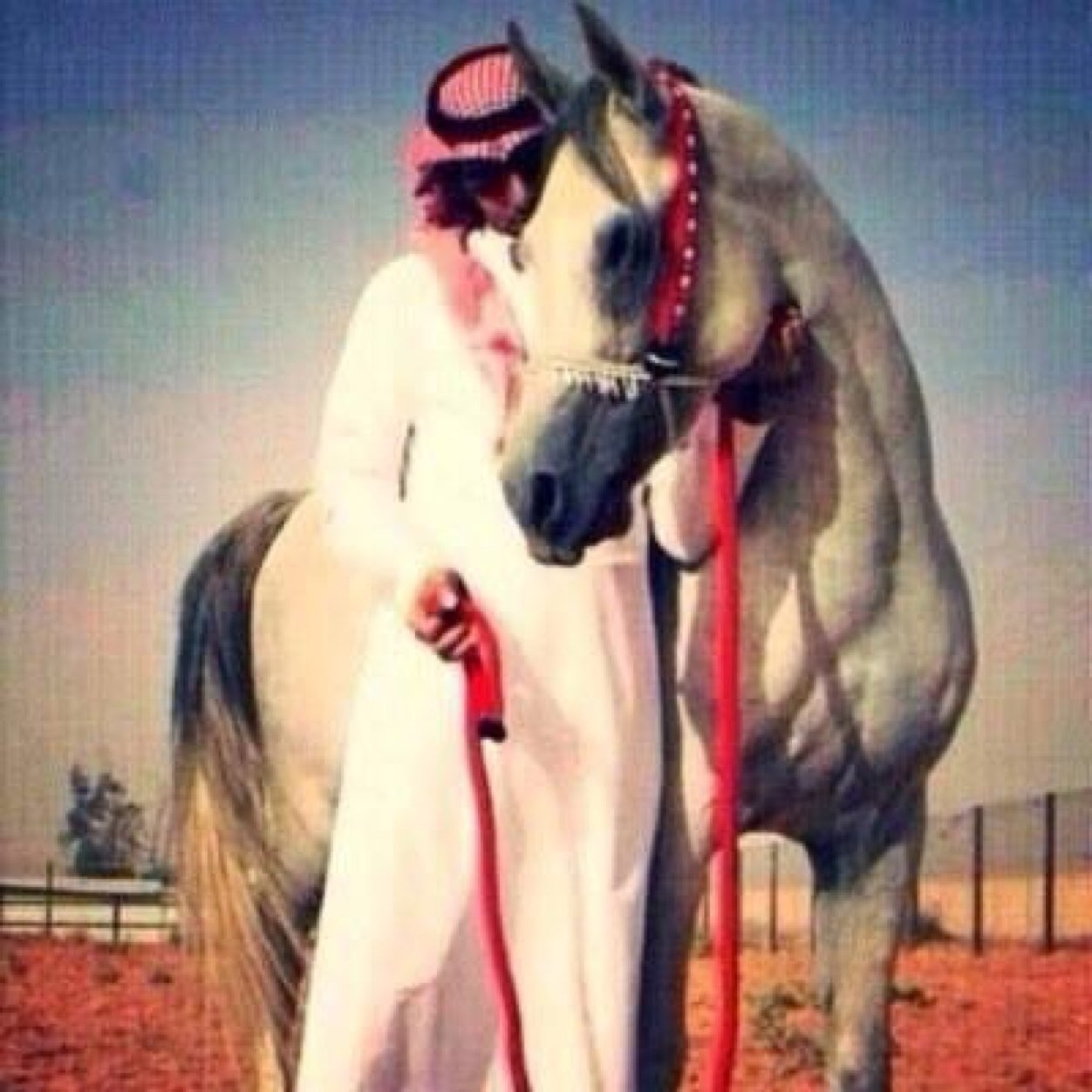 albo0o77's profile picture. في مجرة درب التبانه !