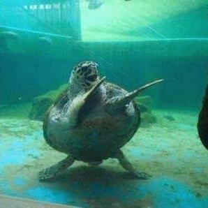 Hello! Do you like to read world's funny news everyday? Please visit my website too! Thank you.