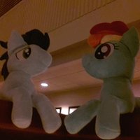 Rainbow Dashole (@rainbowdashing) Twitter profile photo