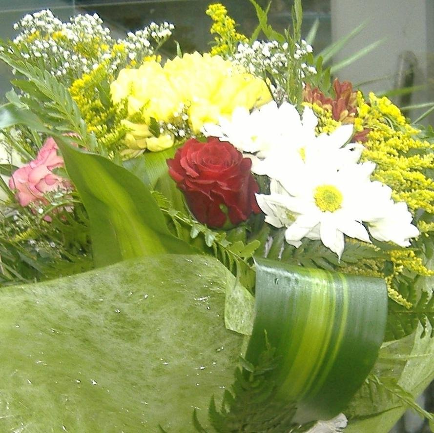 Fresh Flowers, Best Prices, Bargain Rates, Quality Flowers, Flower Bouquets, Flower Baskets, Flower Arrangements, Roses, Lilies, Garberas, Carnations, Tulips, D