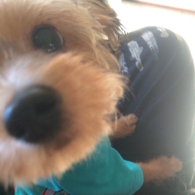 hanakokorogo's profile picture. 見て見ちゃう 見れちゃう〜花屋のあ〜ちゃんです。 宜しくで〜す。